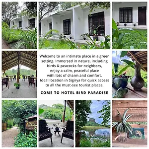 Hotel Bird Paradise, Sigirîya